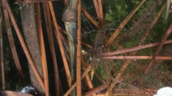 IMAG0142
