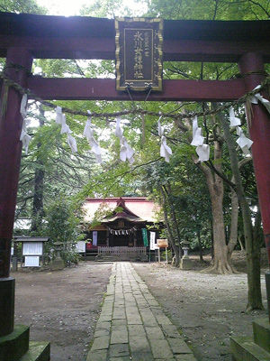 hikawanyotai