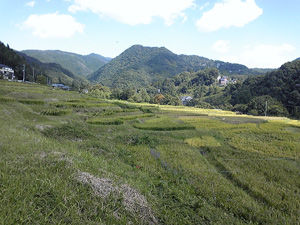tanada