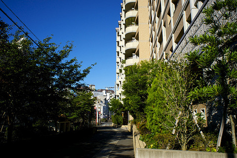 7903792974_4faeda22c1