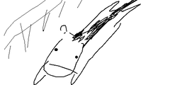91