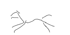 66