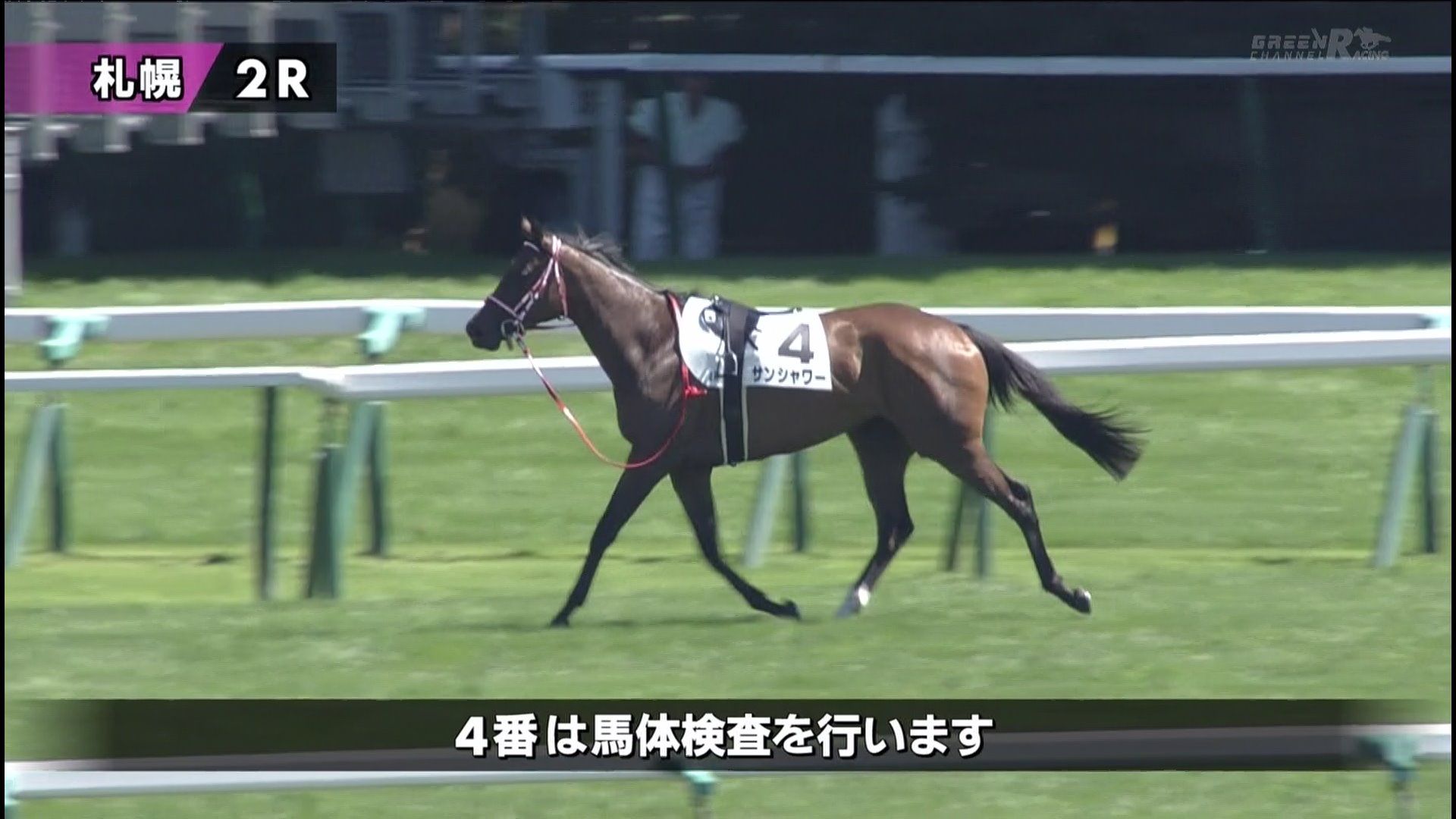 【競馬】坂井瑠星騎手、同じ馬に３度落とされる【サンシャワー】