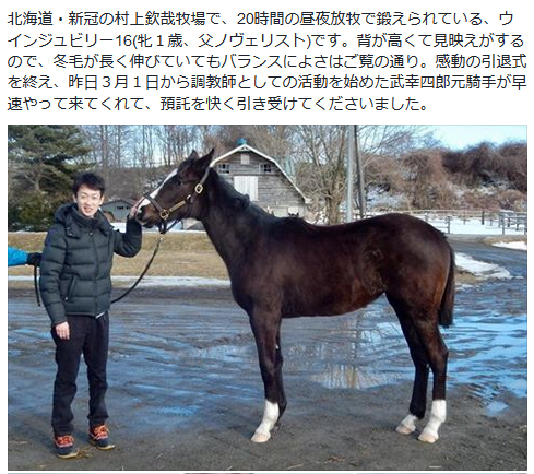 《競馬》武幸四郎調教師、さっそく大物馬主からの預託が決まる