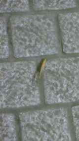 c93038cb.jpg