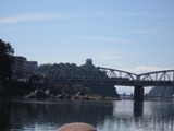 IMG_0019