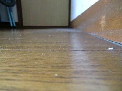 フローリング ほこり