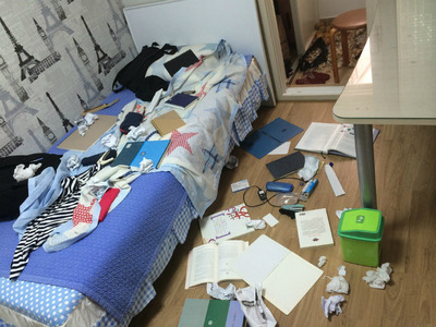 ゴミ屋敷・・・まじめ