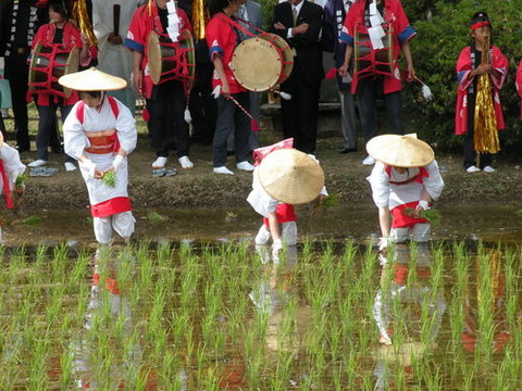 DSCN0885