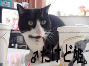 こてつ