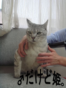 しじみ