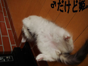 DSC09798