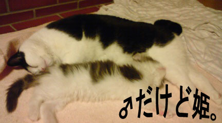 ねんね