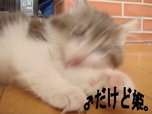 DSC09805