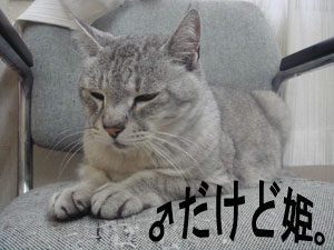 しじみ