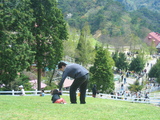 ae2a89c0.jpg