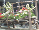 花と木と水