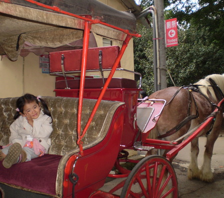 台湾 馬車に乗る女の子