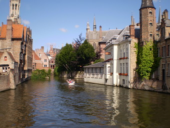 BRUGGE liver