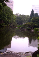ÃӤ˼̤ë¥Ó¥ë