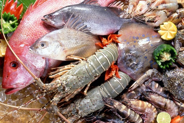 魚介類