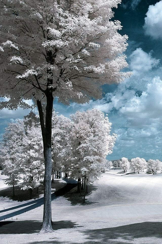 http://livedoor.blogimg.jp/affiri009-001/imgs/0/0/003818d7.jpg