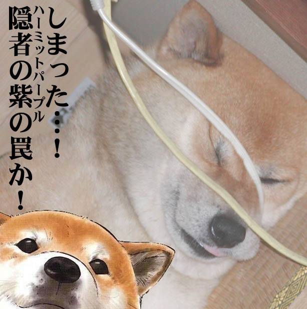 http://livedoor.blogimg.jp/affiri009-001/imgs/3/5/35ae5f1b.jpg