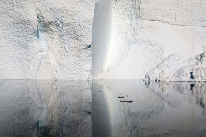 db-316-greenland-694-2720