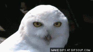 anigif_optimized-23054-1422748470-9