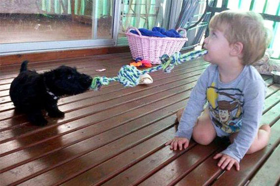 kids-act-like-animals-playing-like-a-puppy__605
