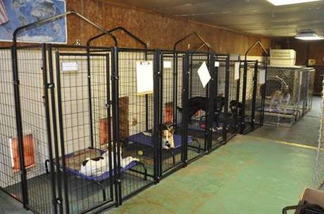 Chautauqua_County_Animal_Shelter__KS_