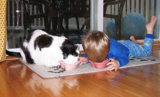 kids-act-like-animals-eating-cat-food__605