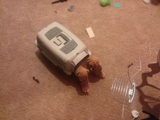 kids-act-like-animals-cat-house__605