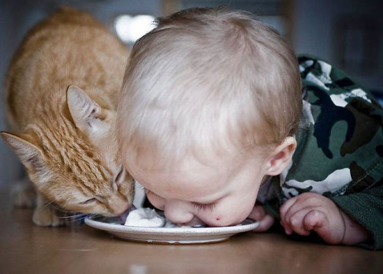 kids-act-like-animals-eating-with-cat__605