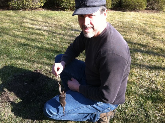 Star-Nosed-Mole-with-JD