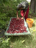53f3a2b9.jpg