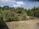82cc970c.jpg