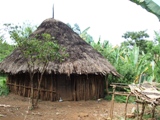 c1b78c68.JPG