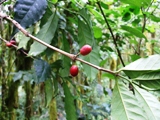 d3f7ec40.JPG