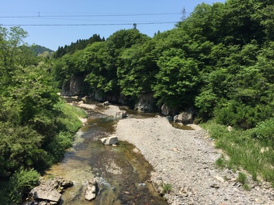 IMG_0762