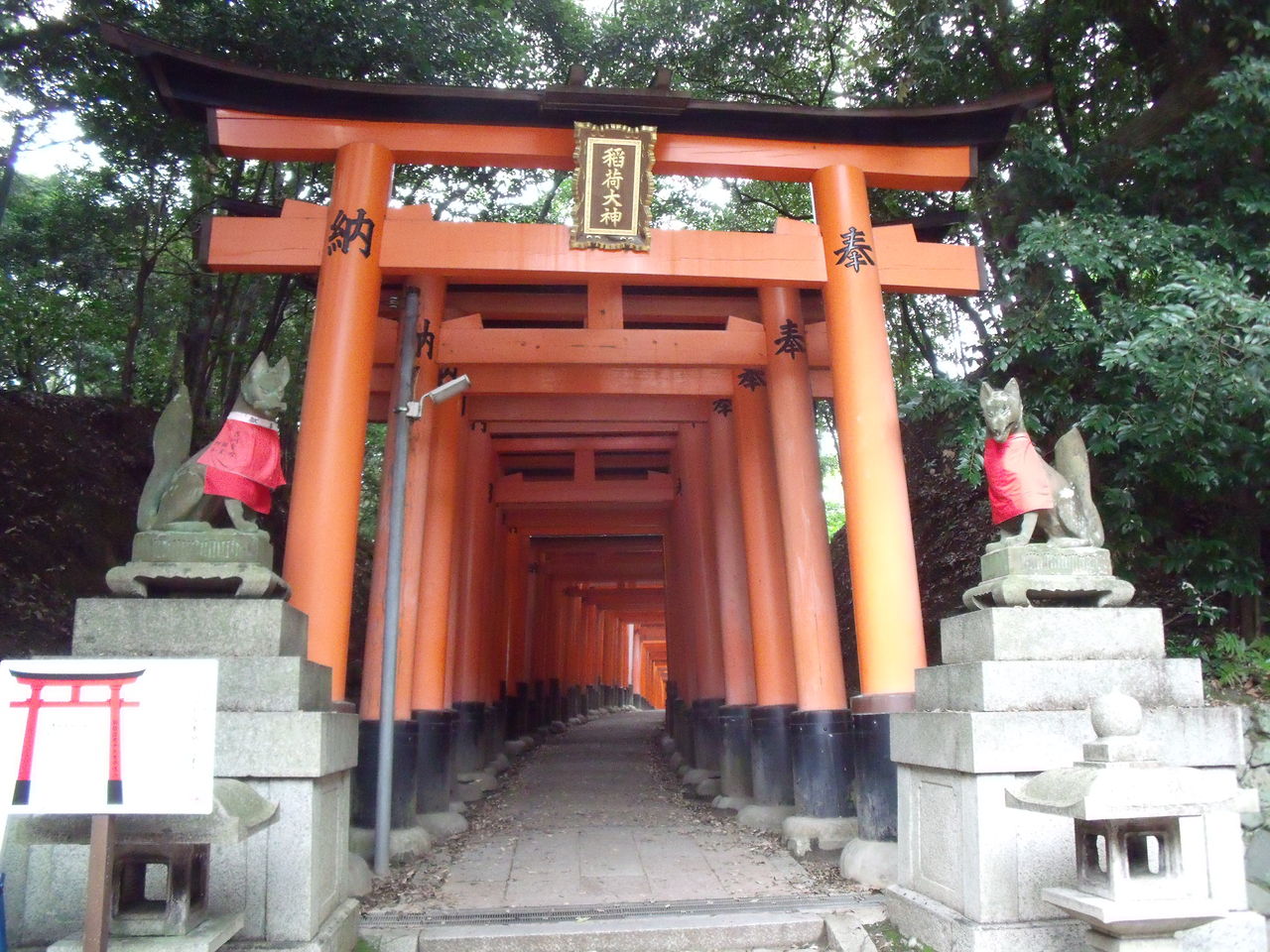 DSCF1605