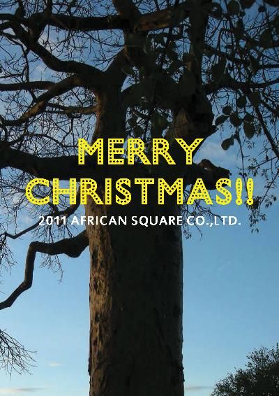 2011Xmas01