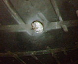 5cd837cc.jpg