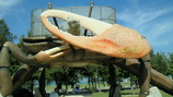 e9733639.jpg