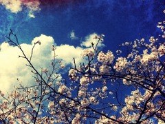 2014-04-05-14-41-21