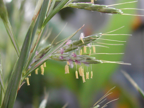 photo03-20111015