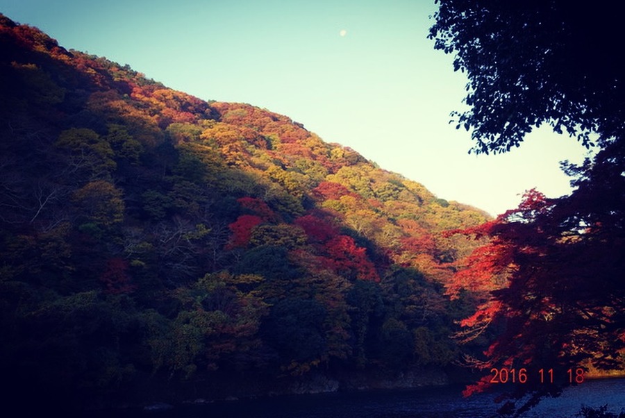 Evernote Camera Roll 20161118 073801
