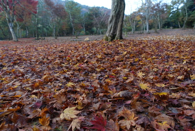 Evernote Camera Roll 20161121 072352 (10)