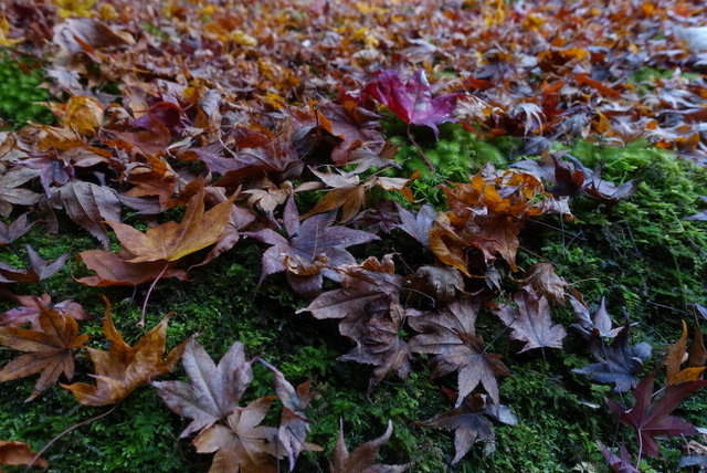 Evernote Camera Roll 20161126 102505 (2)