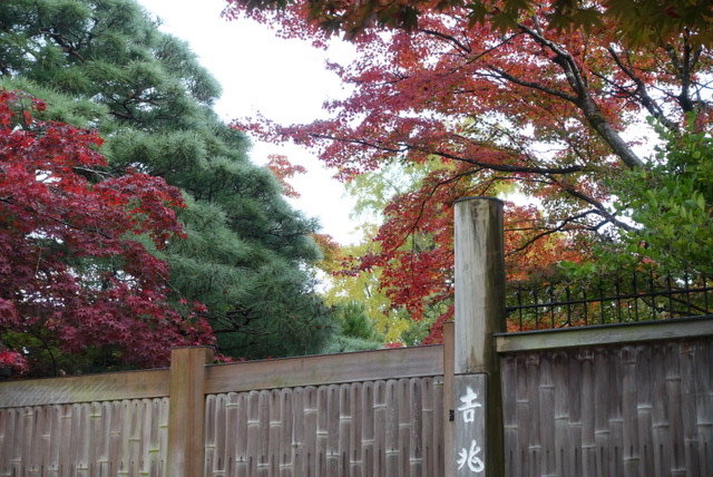 Evernote Camera Roll 20161120 082840 (4)
